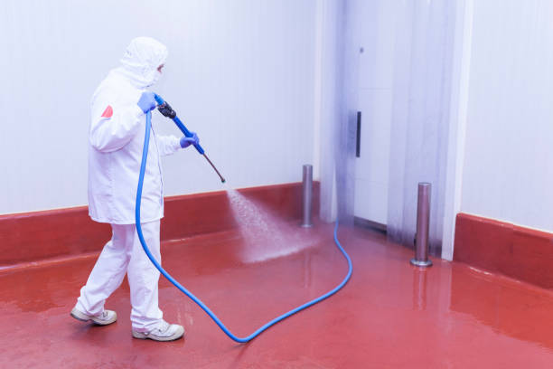  Newport, VT Pressure Washing Pros